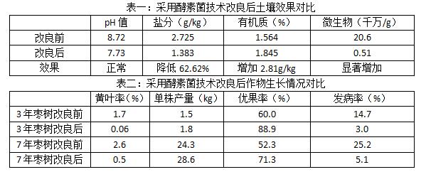 酵素菌原土增肥降鹽改堿技術(shù)效果展示