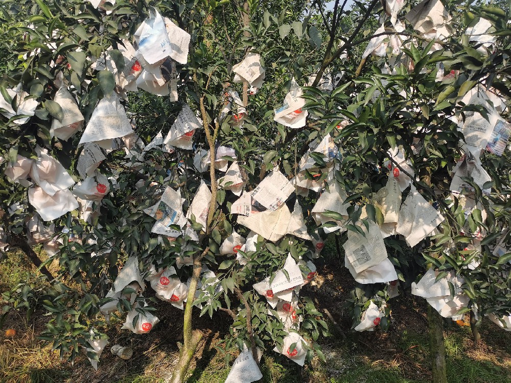 酵素菌技術(shù)生物防凍小妙招