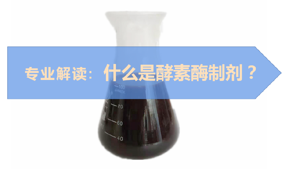 什么是酵素酶制劑？它具體有哪些作用？