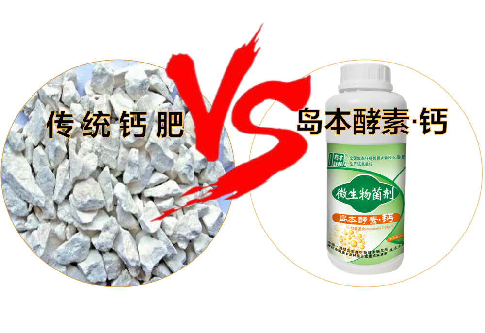 ?“島本酵素鈣”VS“傳統(tǒng)鈣肥”